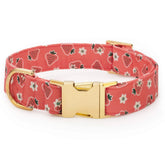 OLIPOP x TFD Strawberry Vanilla Dog Collar