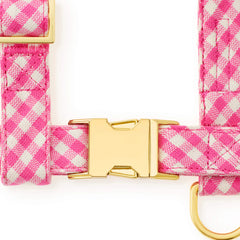 Hot Pink Gingham Harness Walk Set