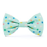 Confetti Dots Dog Bow Tie