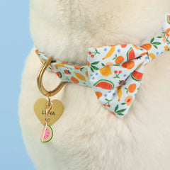 Watermelon Collar Charm