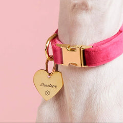 Heart Pet ID Tag: Flower Icon