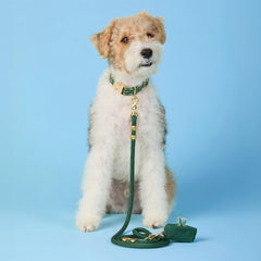 Gone Fishing Collar Walk Set