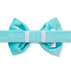 Robin’s Egg Velvet Bow Tie Collar