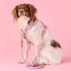 Orchid Marine Rope Dog Leash