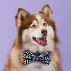 Holographic Spiderweb Dog Bow Tie