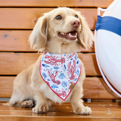 Printfresh x TFD Lobster Landing Dog Bandana