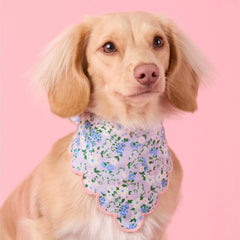 Flora Scalloped Dog Bandana