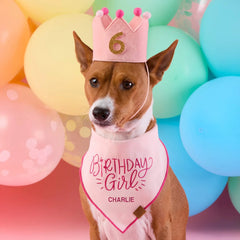 Blush Pink Dog Birthday Crown + Numbers Set