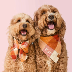 Pumpkin Spice Plaid Flannel Lady Dog Bow