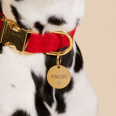 Circle Pet ID Tag: Heart Icon