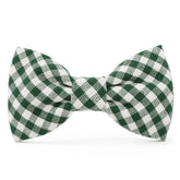 Evergreen Gingham Dog Bow Tie