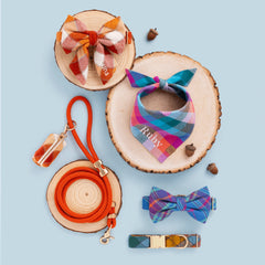 Pumpkin Spice Plaid Flannel Collar Walk Set