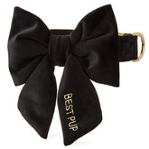 Black Velvet Lady Bow Collar