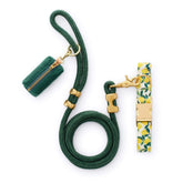 Lemon Zest Collar Walk Set