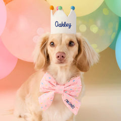 Sprinkles Lady Dog Bow