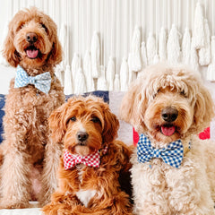 Lake Blue Gingham Dog Bow Tie