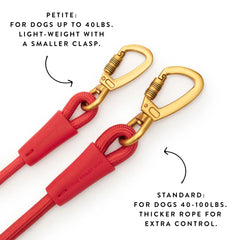 Active Hands-Free Dog Leash, Ember