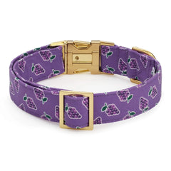 OLIPOP x TFD Classic Grape Dog Collar