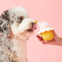 Birthday Cupcake 2-in-1 Bounce Dog Toy