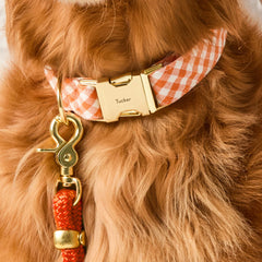 Cider Gingham Dog Collar