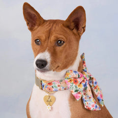 Margaux Lady Dog Bow