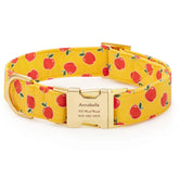 OLIPOP x TFD Crisp Apple Dog Collar