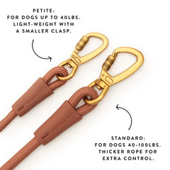 Active Hands-Free Dog Leash, Saddle