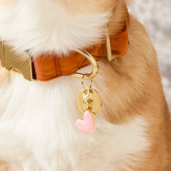 Pink Heart Collar Charm