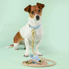 Flax Marine Rope Dog Leash