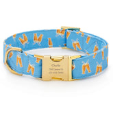 OLIPOP x TFD Cream Soda Dog Collar