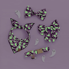 Spooky Season Bow Tie Collar