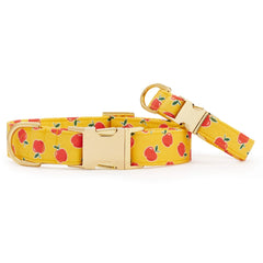 OLIPOP x TFD Crisp Apple Dog Collar