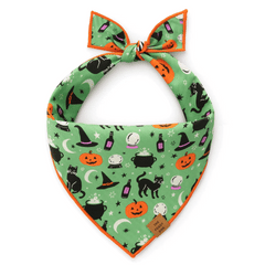 Spellbound Reversible Dog Bandana