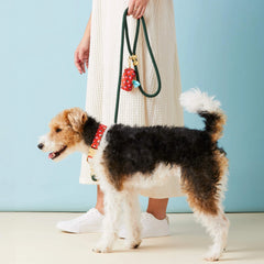 Berry Sweet Collar Walk Set