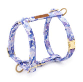 Pressed Pansies Dog Harness
