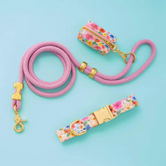 Margaux Collar Walk Set
