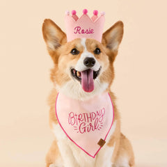 Blush Pink Dog Birthday Crown