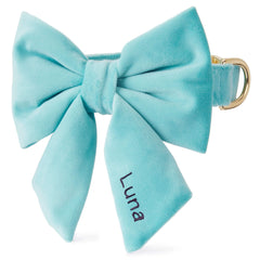 Robin’s Egg Velvet Lady Bow Collar