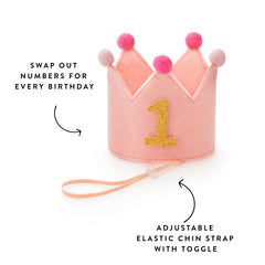 Blush Pink Dog Birthday Crown + Numbers Set
