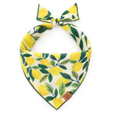 Lemon Zest Dog Bandana