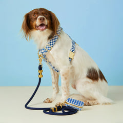 Lake Blue Gingham Harness Walk Set