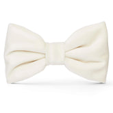 Ivory Velvet Dog Bow Tie