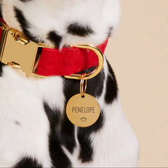 Circle Pet ID Tag: Crown Icon