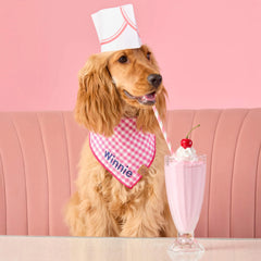 Hot Pink Gingham Dog Bandana