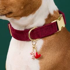 Red Heart Collar Charm