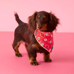 OLIPOP x TFD Strawberry Vanilla Dog Bandana