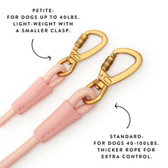 Active Hands-Free Dog Leash, Shell