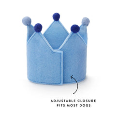 Light Blue Dog Birthday Crown + Numbers Set