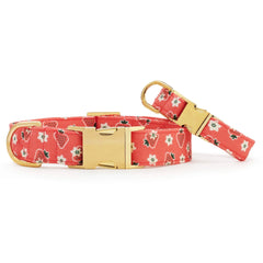 OLIPOP x TFD Strawberry Vanilla Dog Collar