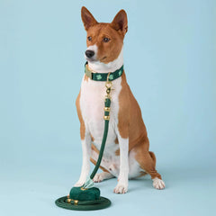 Clover Embroidered Collar Walk Set